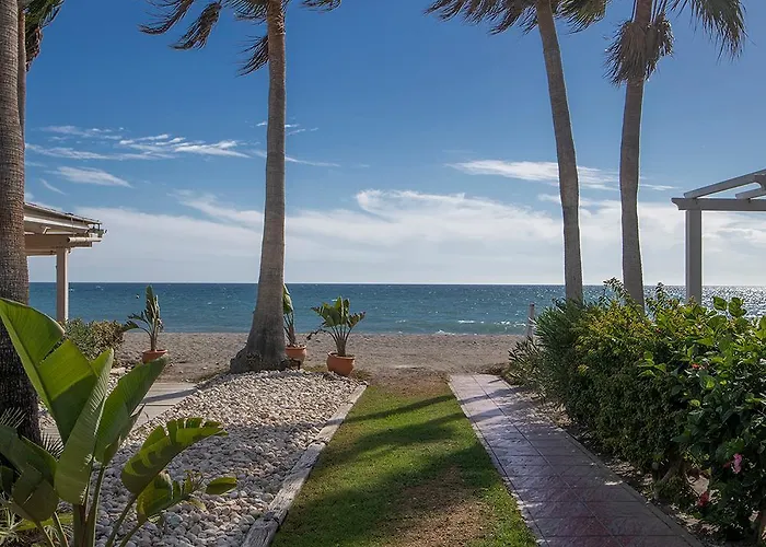 Beach Paradise, Nº5