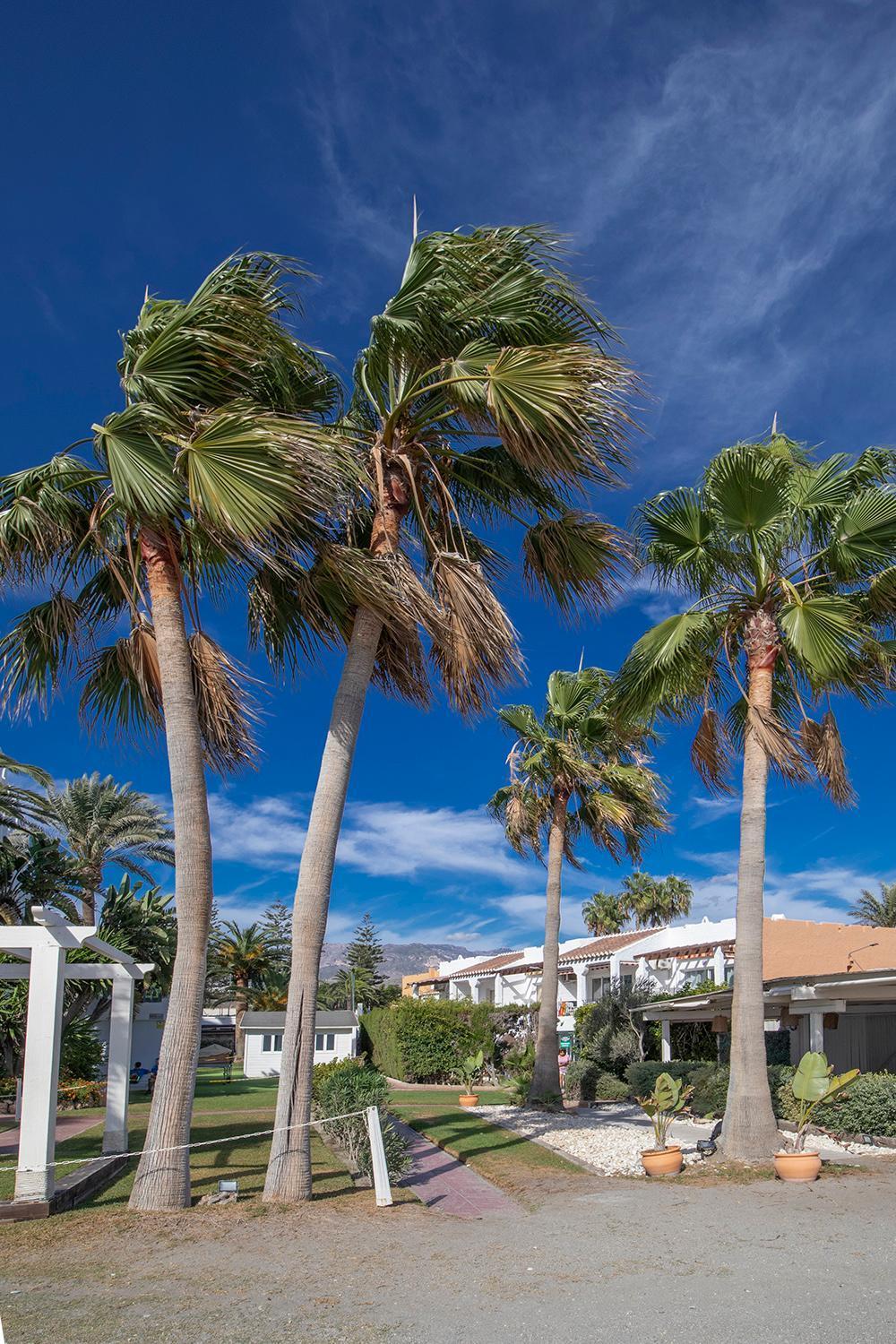 Paradise, Nº5 * Nerja